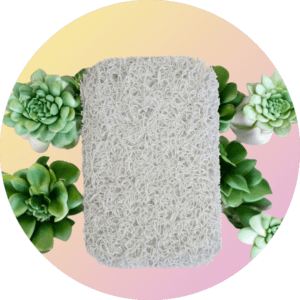 Textured mat with green succulents, pastel background.